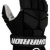 Warrior 2022 Fatboy Ball Hockey Gloves -Hockey Boutique FBG BK 1cdcb7f3 3ef4 4d23 9b44 ce1a4ac20b3e
